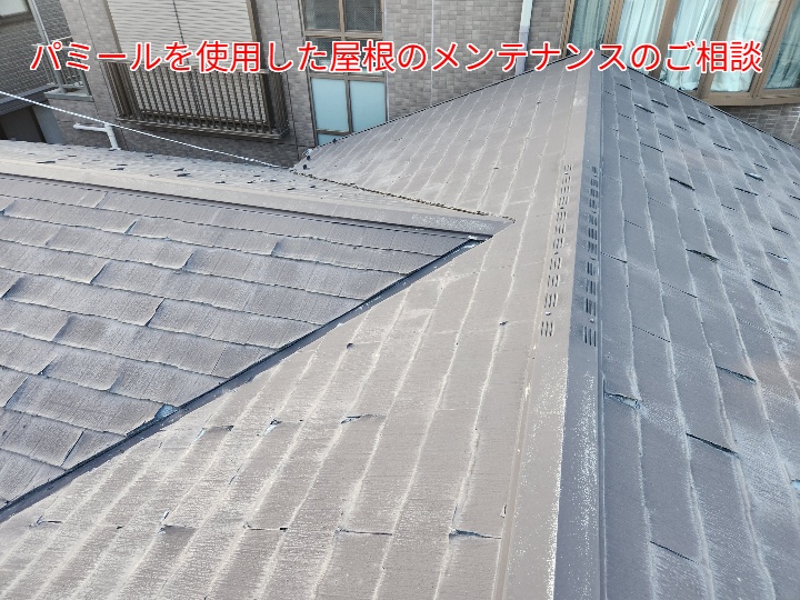 パミール屋根の調査