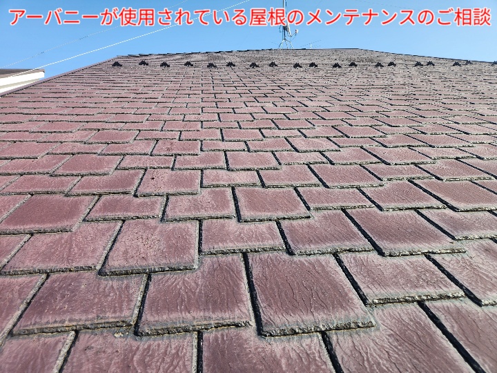 アーバニー屋根の調査