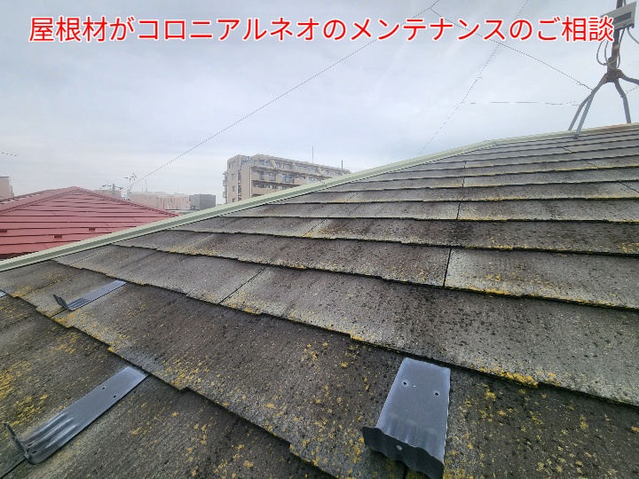 コロニアルネオの現地調査