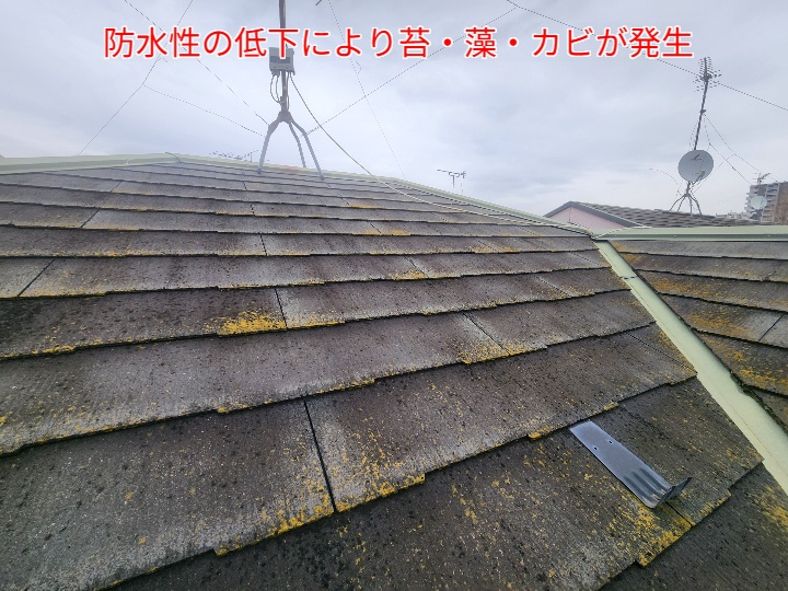 コロニアルネオの防水性の低下