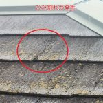 コロニアルネオのひび割れ