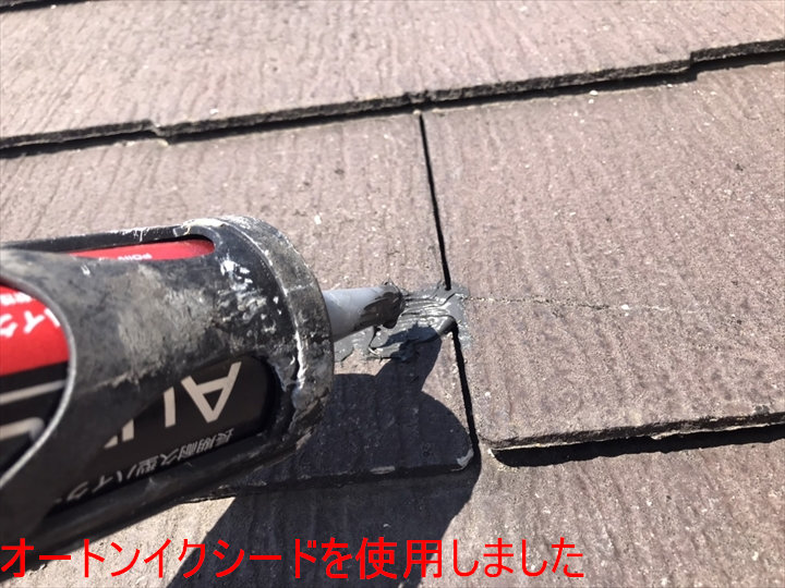 オートンイクシードを使用しました