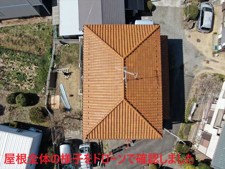 屋根全体の様子