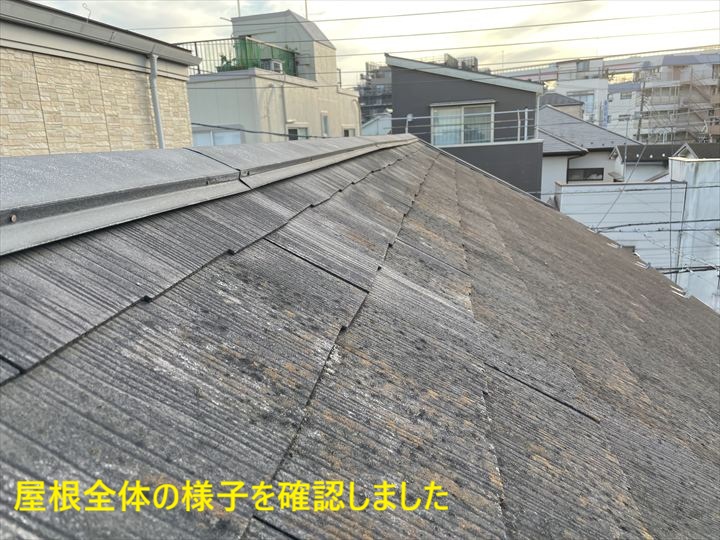 屋根全体の様子を確認しました