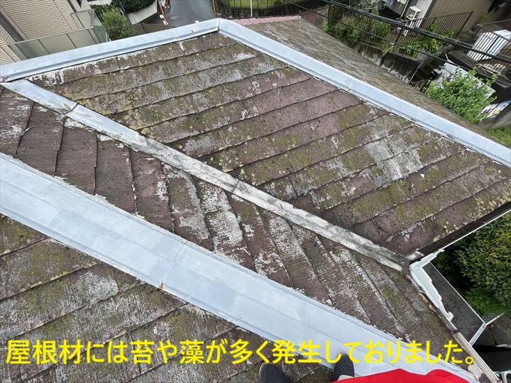 屋根材には苔や藻が多く発生しておりました。
