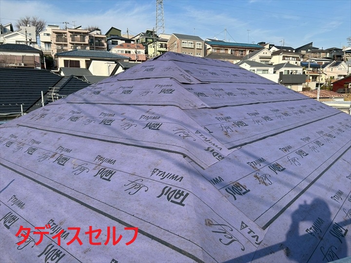 タディスセルフ