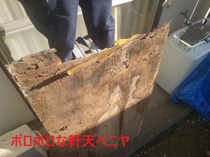 剥がしたベニヤ