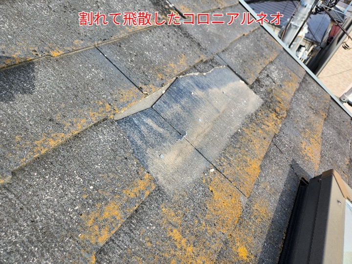 コロニアルネオが飛散して欠落