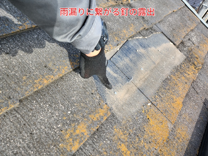 ブログタイトル