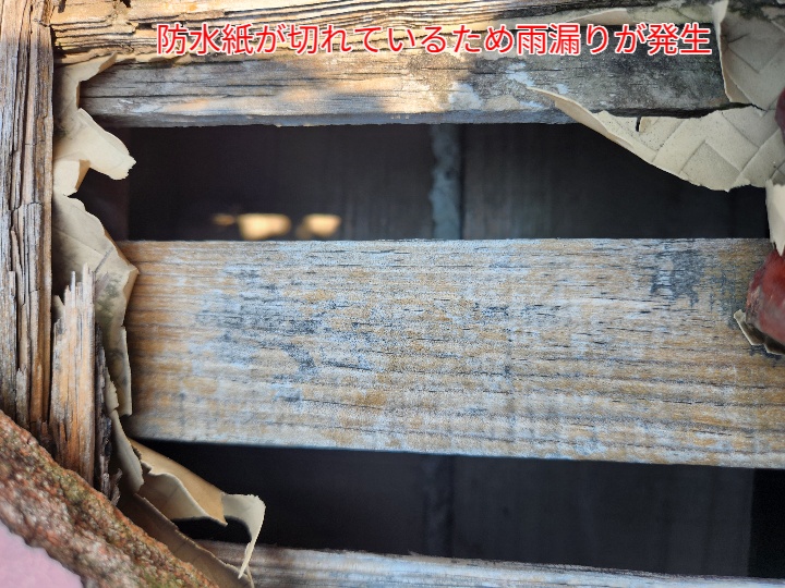 瓦屋根の防水紙が切れて雨漏り