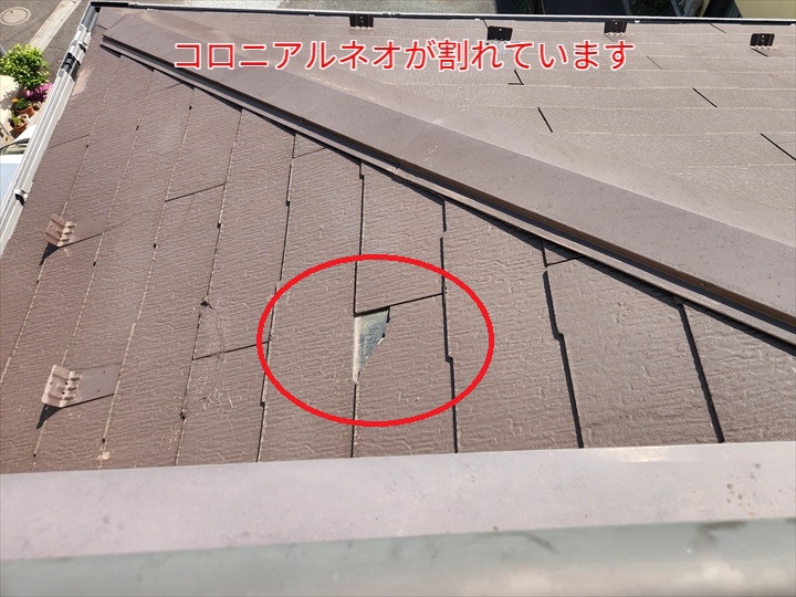 コロニアルネオが割れて欠損