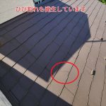 コロニアルネオのひび割れ