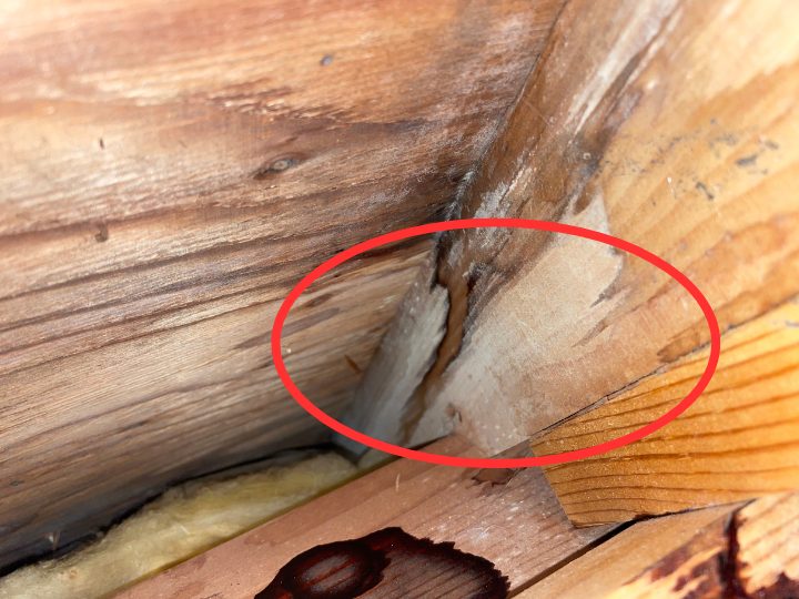 点検口から屋根裏を点検している様子