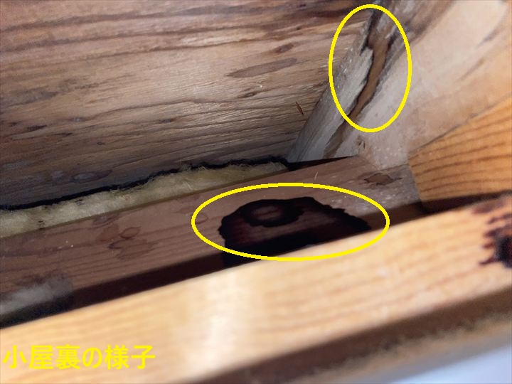 小屋裏の様子
