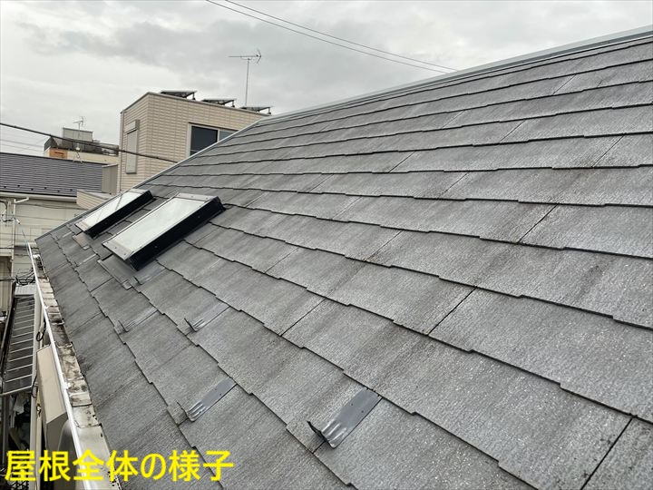 屋根全体の様子