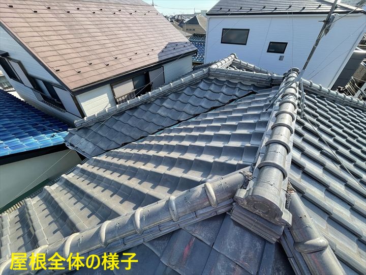 屋根全体の様子
