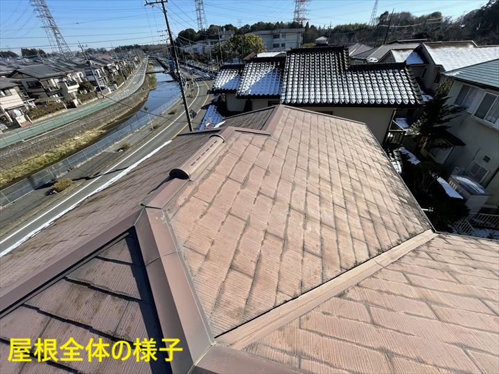 屋根全体の様子