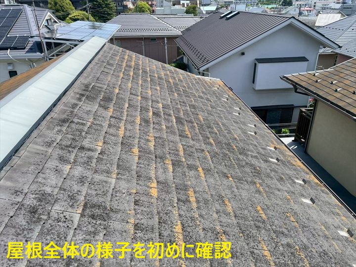 屋根全体の様子を初めに確認