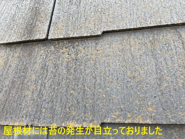 屋根材には苔の発生が目立っておりました