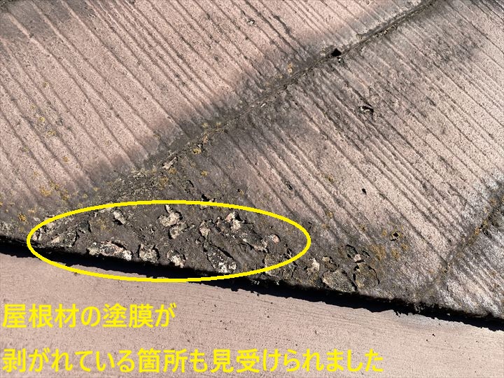 屋根材の塗膜が剥がれている箇所も見受けられました