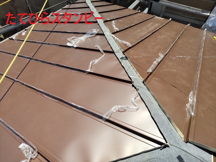 たてひらスタンビー