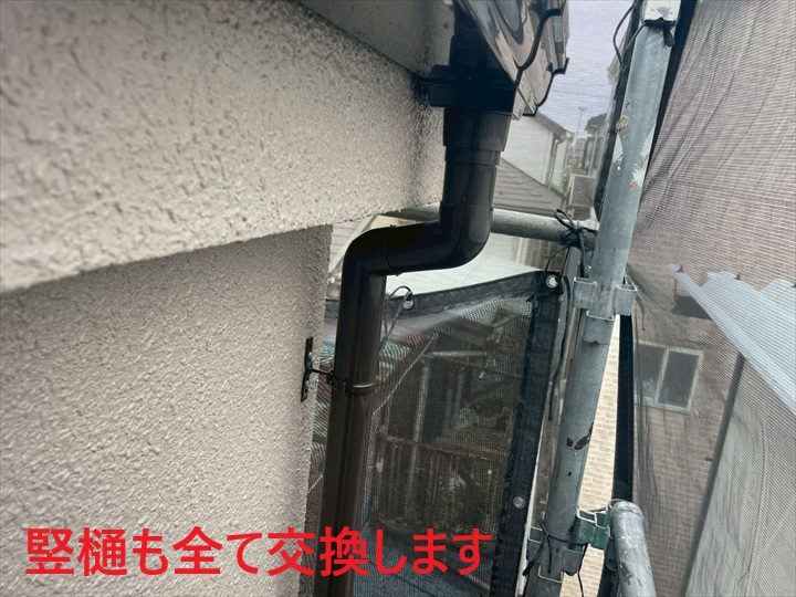 竪樋も交換