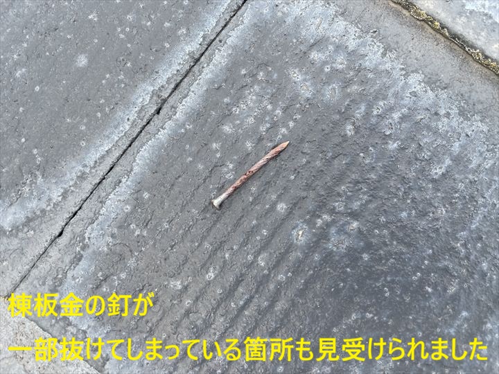 棟板金の釘が一部抜けてしまっている箇所も見受けられました