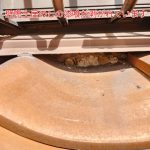 土居のしの漆喰の剥がれ