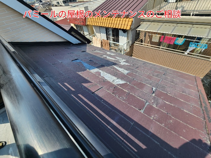 パミール屋根の調査