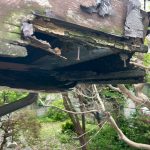 著しく軒天の腐食が進行し、剥がれ落ちてしまっておりました②