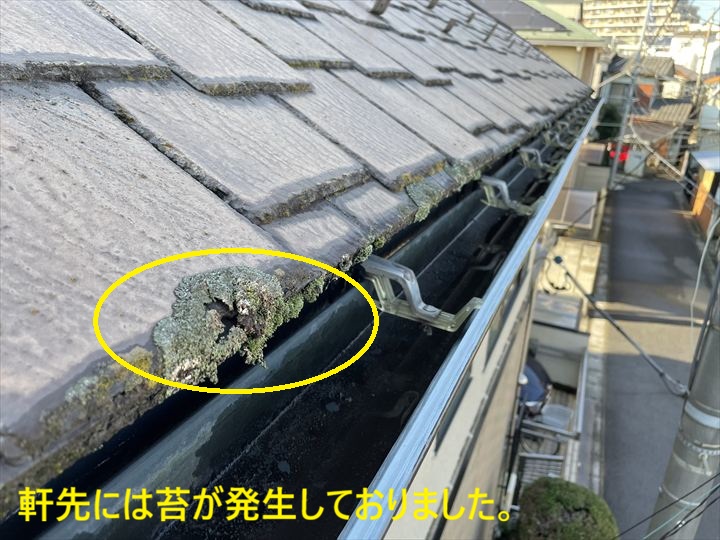 軒先には苔が発生しておりました。