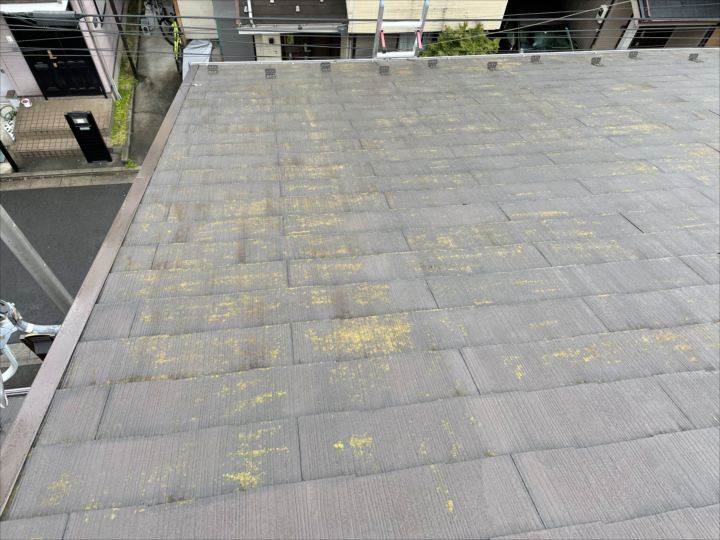 北面で苔が目立つ様子