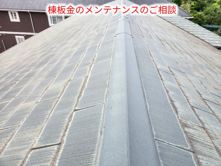 棟板金の調査