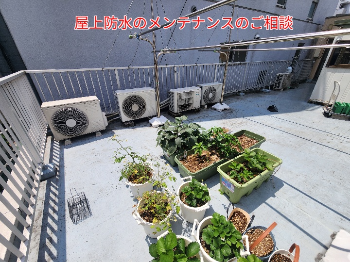 屋上防水のメンテナンスのご相談