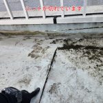 防水シートの切れ