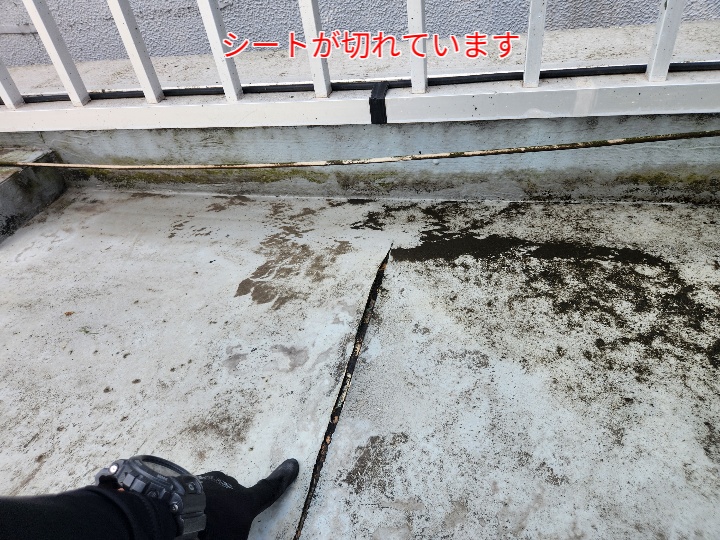 防水シートの切れ