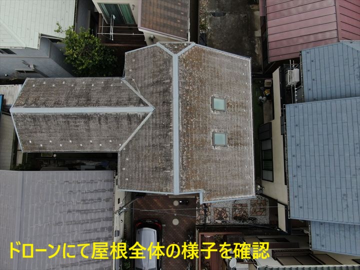 屋根全体の様子