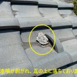 一部漆喰が剥がれ、瓦の上に落ちておりました