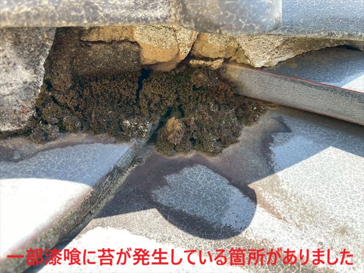 一部漆喰に苔が発生している箇所がありました