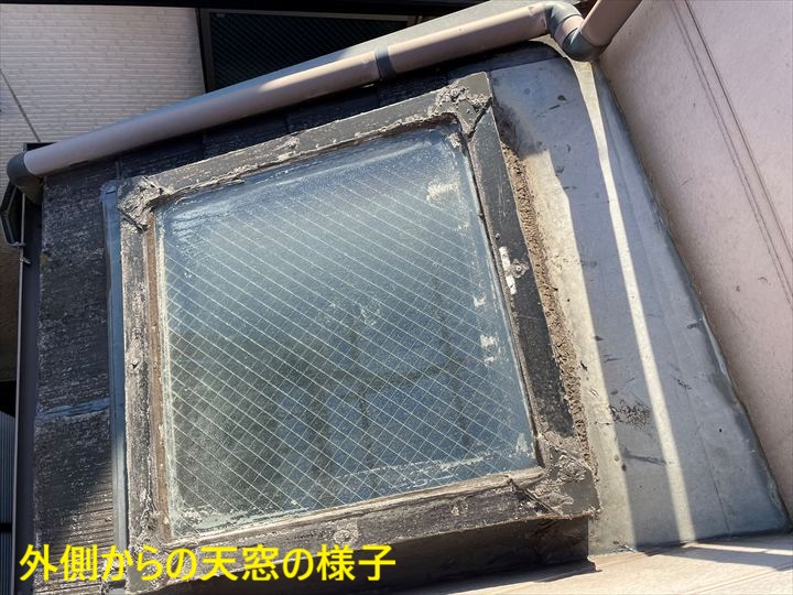 外側からの天窓の様子