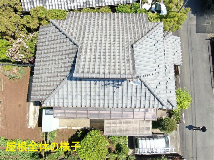 屋根全体の様子