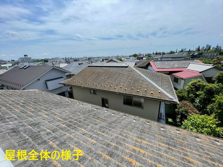 屋根全体の様子