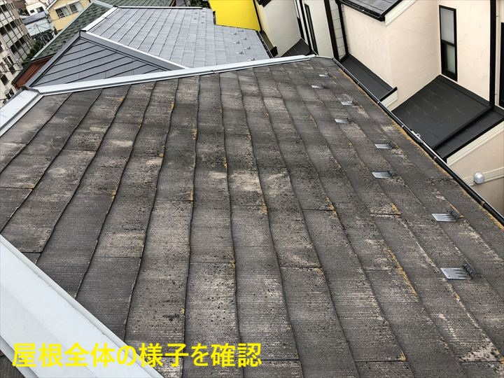 屋根全体の様子を確認