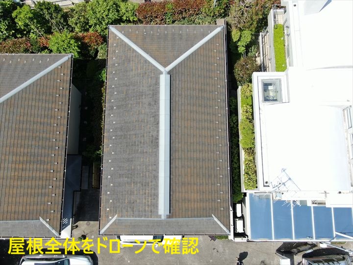 屋根全体の様子