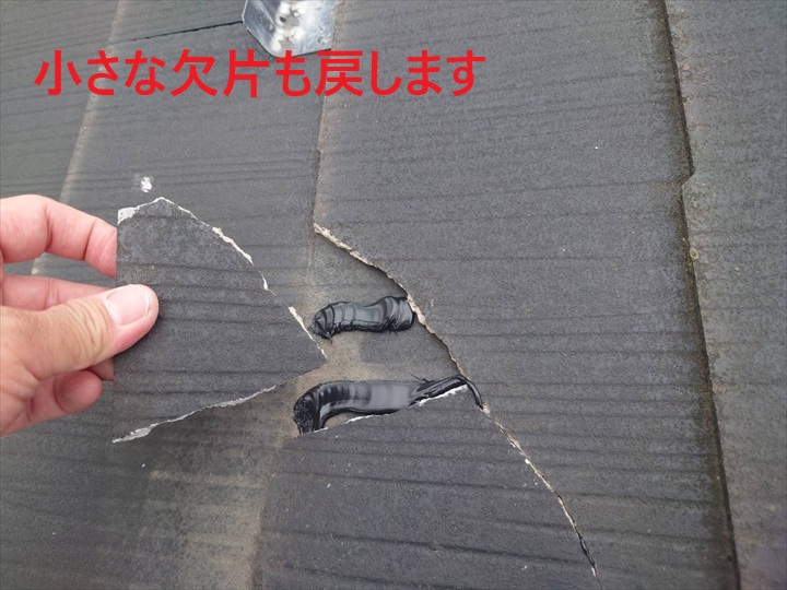 小さな欠片