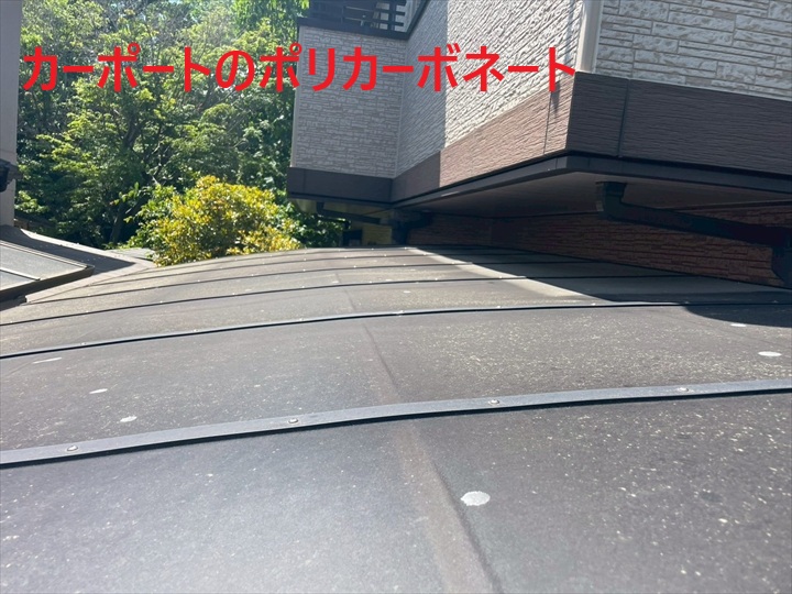 ポリカーボネート