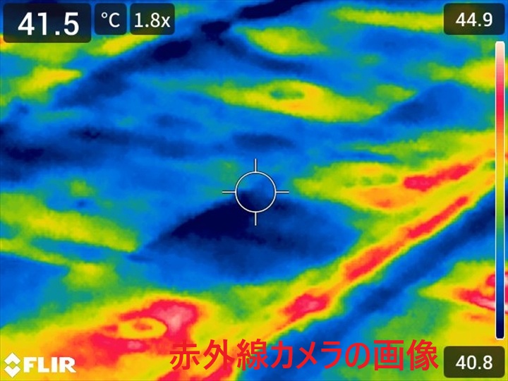ブログタイトル