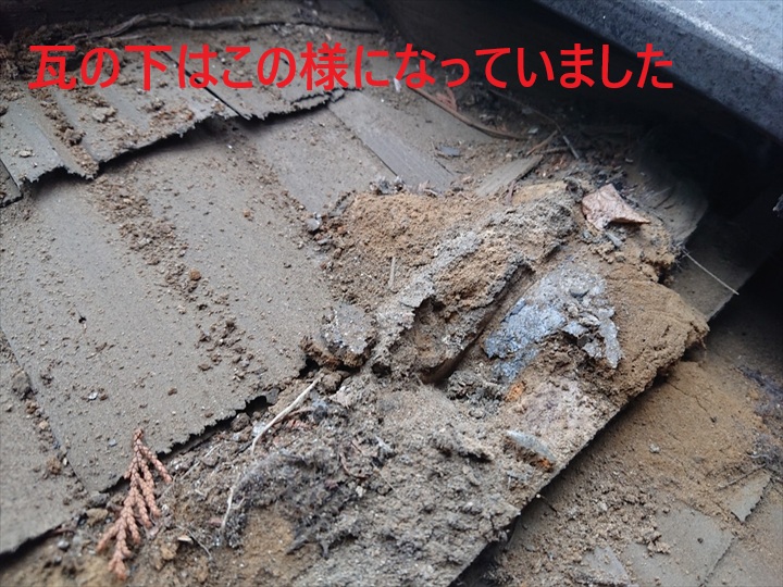ゴミなどの堆積