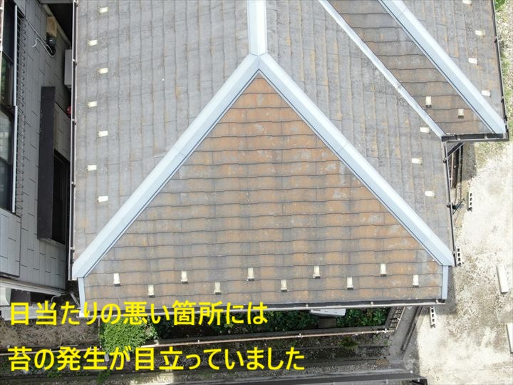 屋根に発生した苔