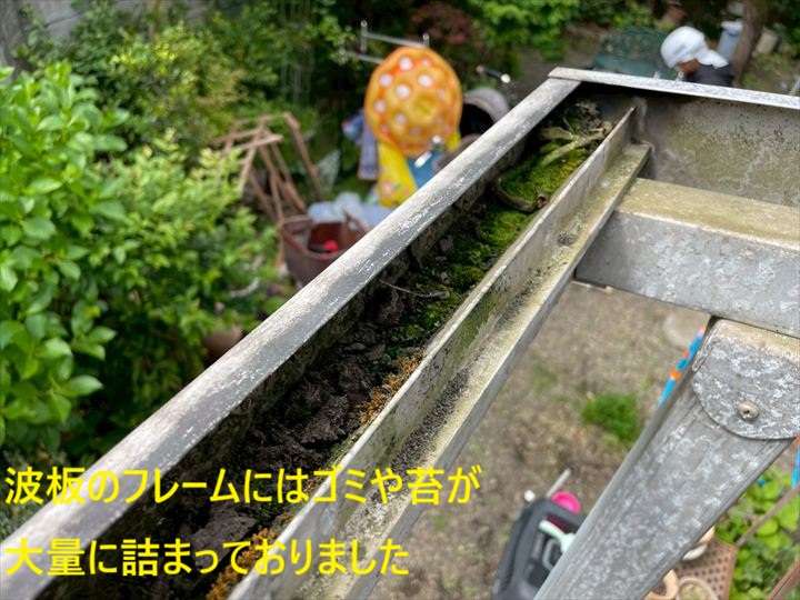 波板のフレームにはゴミや苔が大量に詰まっておりました